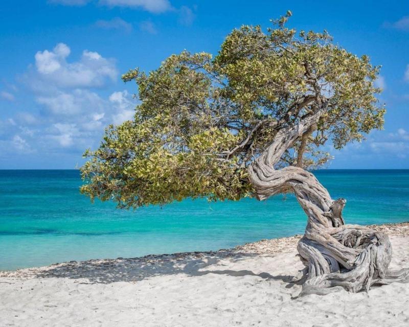 Villapark Fontein Curacao Exterior foto